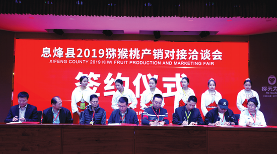 签约仪式现场。