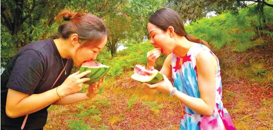 乌当区新堡乡马头寨西瓜成熟。