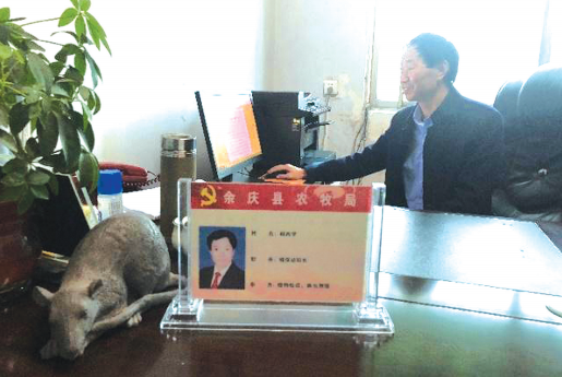 杨再学的办公桌上,是老鼠雕塑。
