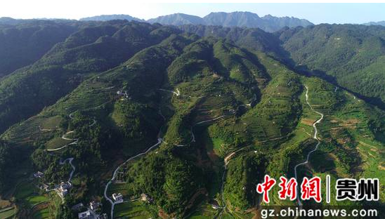 方家山航拍图。陈亮 摄