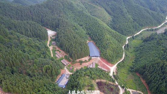 榕江县盘正红托竹荪种植基地(无人机照片)。王炳真 摄