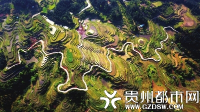 从江县丙妹镇大洞村,山路穿梭在梯田间。 吴德军 摄