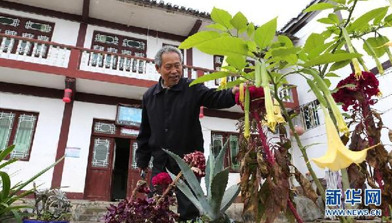 11月19日,遵义湄潭县鱼泉街道村民在自家院子里打理盆栽植物。新华社记者 谢秀栋 摄