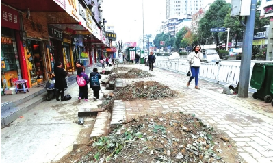 一排行道树被挖,路面很糟糕。