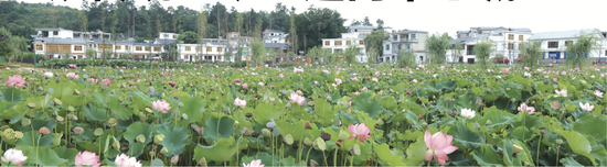美丽乡村