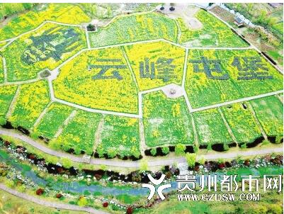 三色油菜花打造的脸谱和大字。西秀区农业局农业技术推广站供图