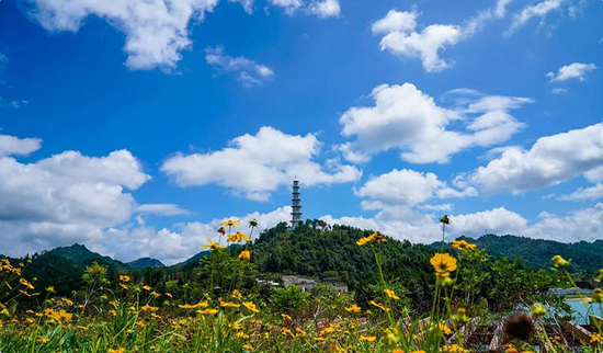 第四届中国绿化博览会新闻发布会在黔南举行