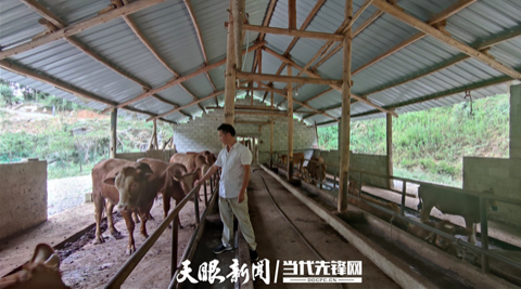 申修权