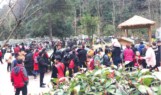 黔灵山公园游人如织。
