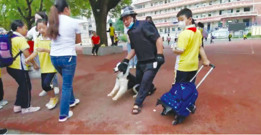 视频截图