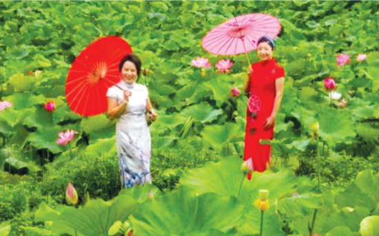 都市新闻记者贾华 摄