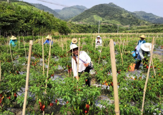 埋头苦干 精准帮扶安顺联通在攻克深度贫困上