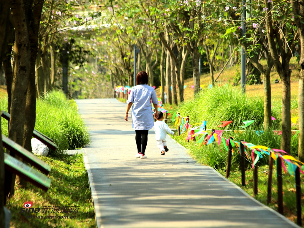 如今，下午五六点的公园里，蛙叫声回荡耳畔，曾一度消失的白鹭和许多鱼类也回到了人们的视野内。市民们感慨，居然能让孩子在公园看见以前在郊野乡下才能见到的东西。(图/谢越杰)