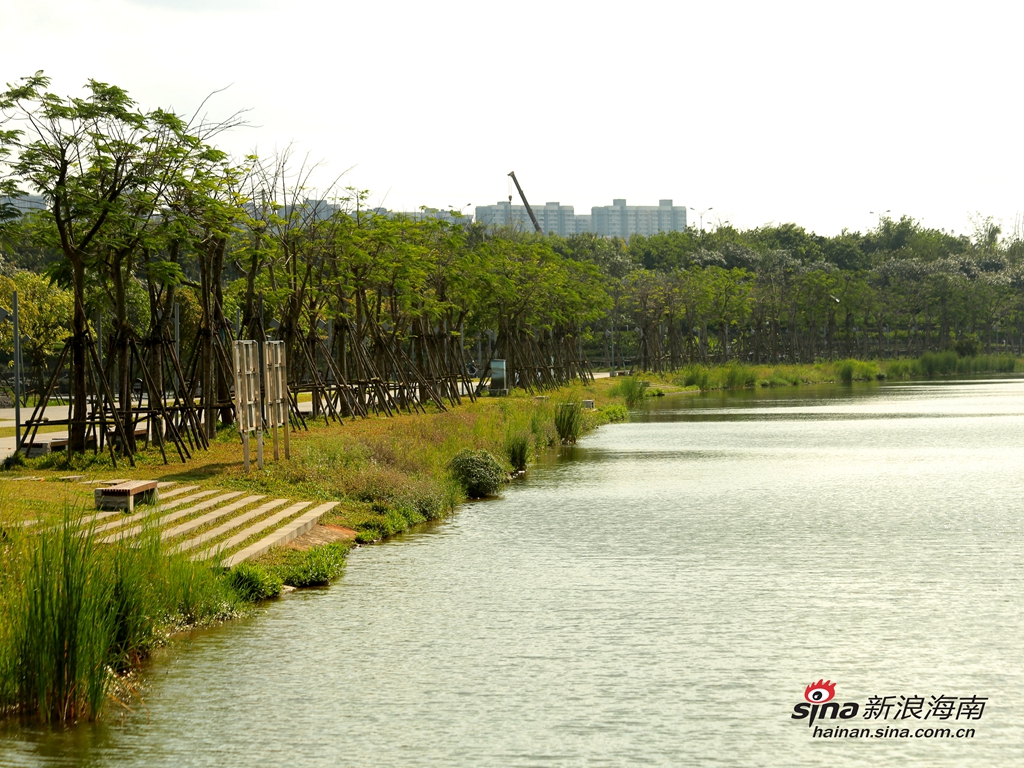 按照生态修复的方法，美舍河、五源河、海甸溪这些出名的臭水沟，先后变成城市里的湿地公园或湿地景观。。2018年海口荣获全球首批国际湿地城市称号，这是海口在生态保护上获得的一块重要金字招牌。(图/谢越杰)