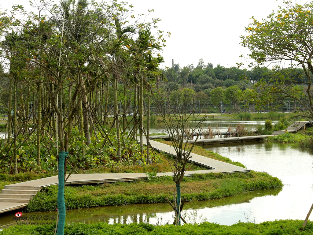 但就在三年前，居住在海口美舍河沿岸的30多万市民，却并没有向别人炫耀“环境好”的资本，因为这条“有味道”的河，给他们的生活带来了更多的困扰。(图/谢越杰)