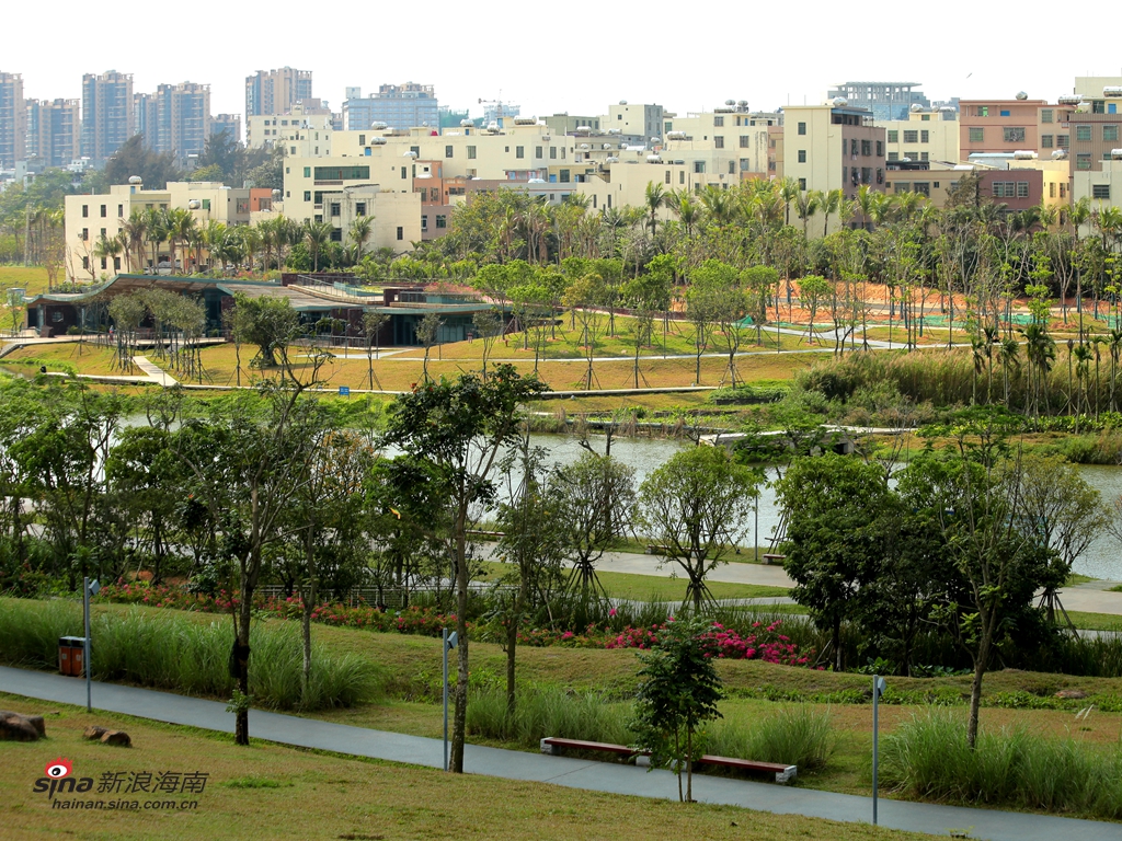 在美舍河凤翔湿地公园，站在公园高处远眺，美舍河两岸乔木葱茏，乾坤湖上水鸟觅食，一幕幕生态美景映入眼帘，让人心旷神怡。(图/谢越杰)