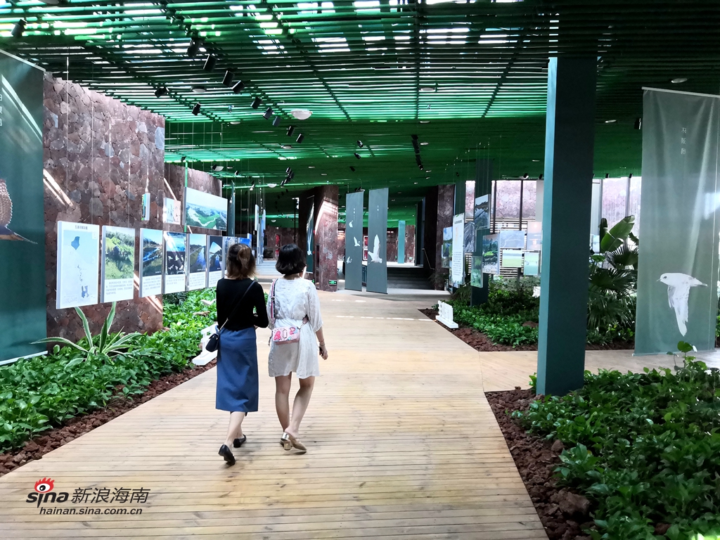 2018年8月12日，海口美舍河凤翔湿地公园生态科普馆正式向市民开放，该馆主要功能包括生态科普展览、阅读阅览、学术交流及会议等，能让更多的市民和游客认识湿地、了解湿地、保护湿地。(图/谢越杰)