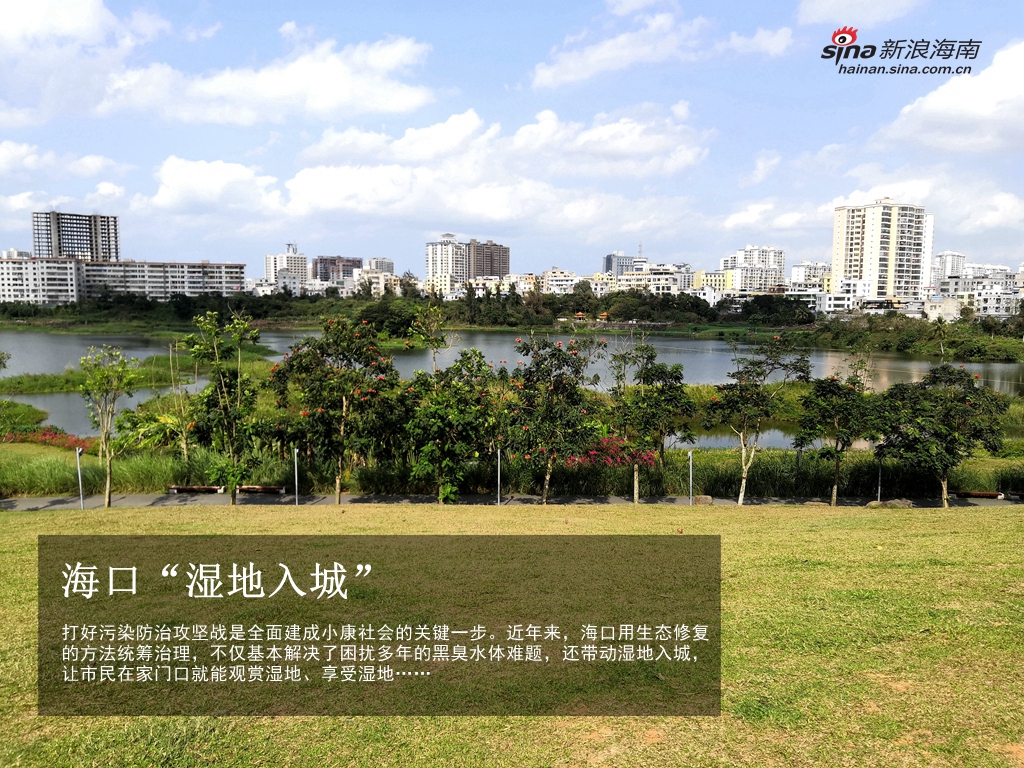 海口“湿地入城”
