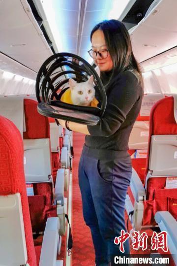 图为1月15日，一位乘客携猫咪搭乘HU7087航班从海口回到昆明。海南航空 供图