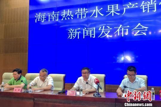 图为发布会现场。 洪坚鹏 摄