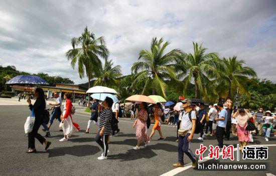  11月11日，三亚南山文化旅游区游人纷至。 陈文武摄