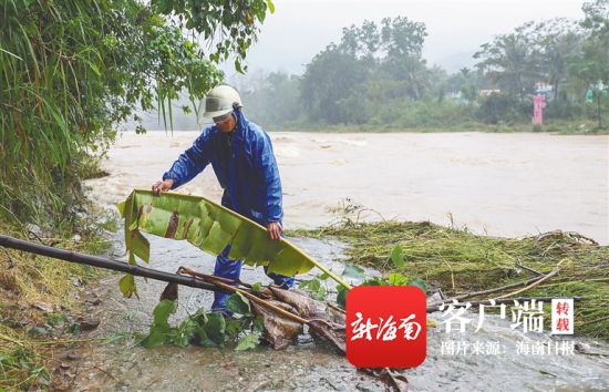 10月18日,在琼中黎族苗族自治县红毛镇罗虾村的漫水桥,村干部王胜设置路障防止村民涉险通过。海南日报记者 李天平 摄
