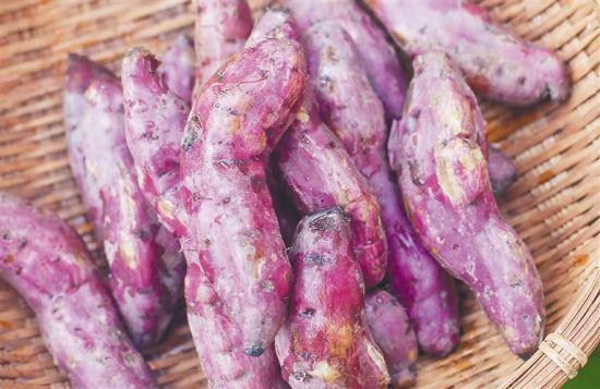 美兰三角宁地瓜。