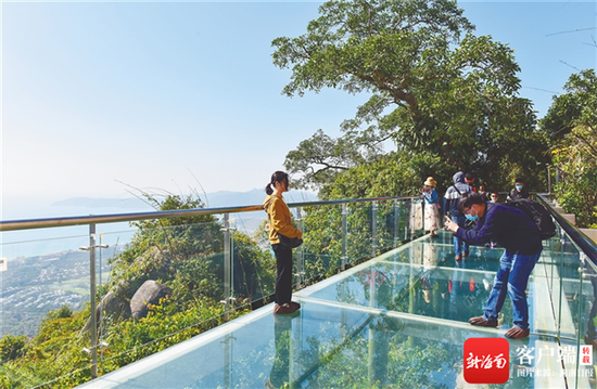  1月2日，游客在三亚亚龙湾热带天堂森林旅游区游览。海南日报记者 武威 通讯员 黄庆优 图/文