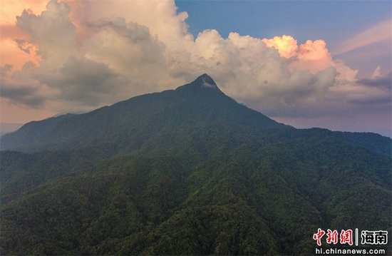 2021年9月3日，航拍海南五指山自然保护区热带雨林。骆云飞摄