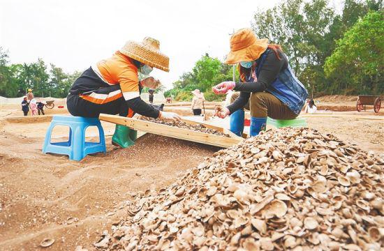 工人从探方沙土中筛出贝壳、陶片、兽骨、石器并进行初步分类。武威 摄