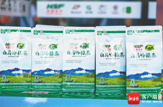 “白马岭绿茶”是首批上市的海垦早春茶。 海南日报记者 封烁 摄