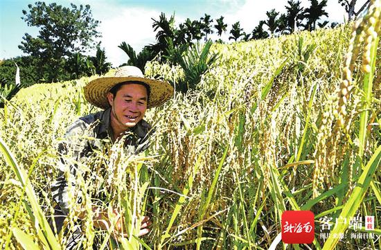 海南脱贫攻坚成效显著，群众幸福感持续增强。图为部分市县脱贫致富群众群像。