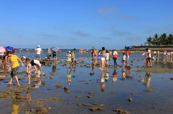 潭门赶海节:每个夏天都不可或缺的一趟旅程 今年更好玩!
