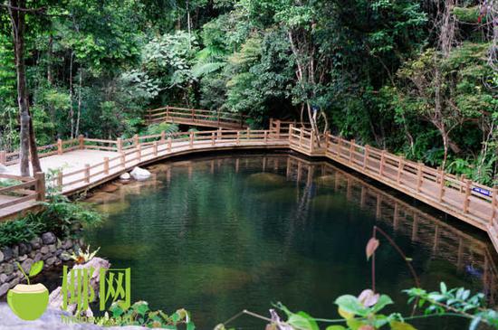 五指山雨林栈道