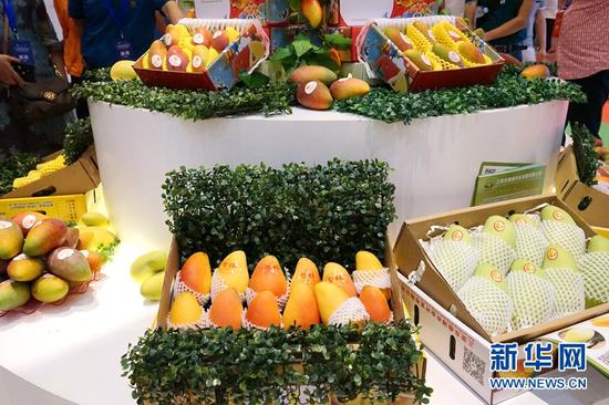 2018三亚国际芒果产业大会暨热带水果产业博览会上的芒果。新华网 徐志专 摄
