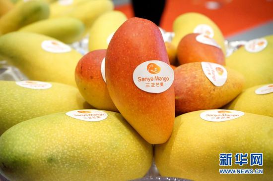 2018三亚国际芒果产业大会暨热带水果产业博览会上的芒果。新华网 徐志专 摄