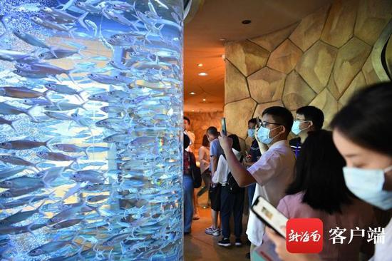 全国网媒打卡三亚·亚特兰蒂斯:不负期待,值得再来!