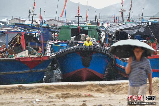 图为停靠在海南陵水新村中心渔港的渔船。骆云飞摄