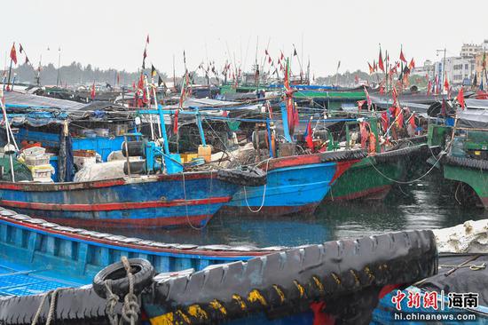 图为停靠在海南陵水新村中心渔港的渔船。骆云飞摄