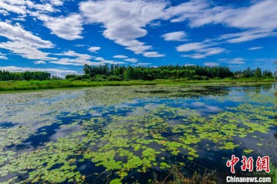  海南昌江黎族自治县海尾湿地公园景色优美。　骆云飞　摄
