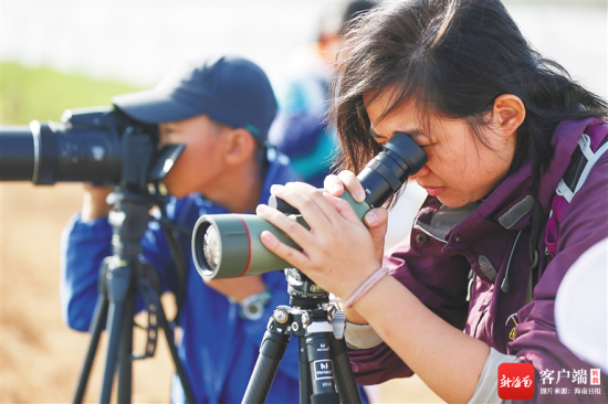 1月7日，海口演丰镇下塘湿地，观鸟爱好者正在用望远镜观察水鸟。 海南日报记者 李天平 摄