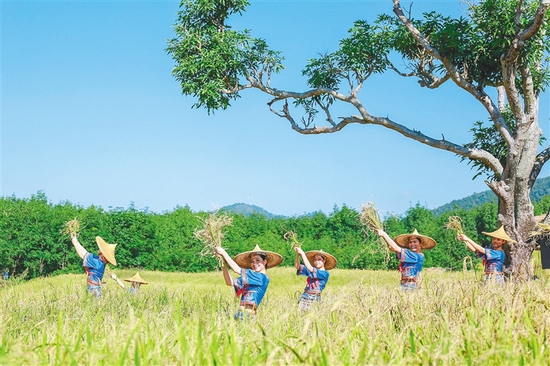 白沙“啦奥门”山兰文化节。方山 摄