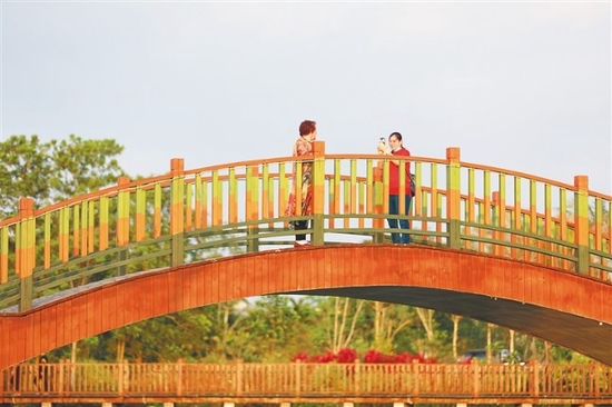 在屯昌縣屯城鎮文贊濕地公園，居民在橋上拍照留念。 方山 攝