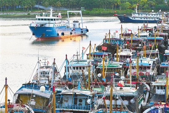 六月五日，渔船整齐停靠在琼海市潭门镇潭门港。本报记者 袁琛 摄