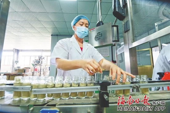 东昌胡椒加工厂的现代化胡椒生产线。（资料图）