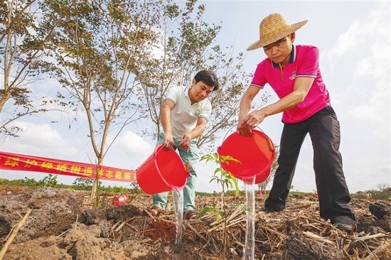 3月12日，在海口冯唐绿园的植树点，冯唐村的村民为树苗浇水。