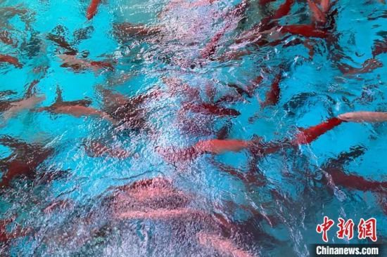 海南万宁:以东星斑、鰤鱼产业为主导 推动渔业转型升级