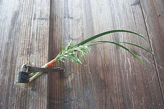 端午节,很多人家门口挂着菖蒲、艾草。