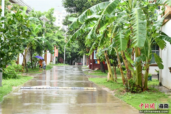白沙邦溪镇芭蕉村美丽干净的村道。
