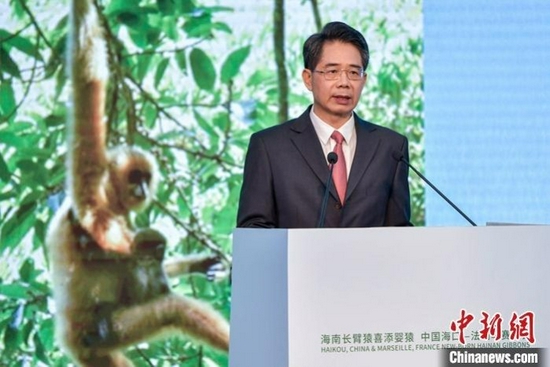  图为海南省林业局党组书记、局长黄金城在发布会上介绍相关情况。 中新社记者 骆云飞 摄